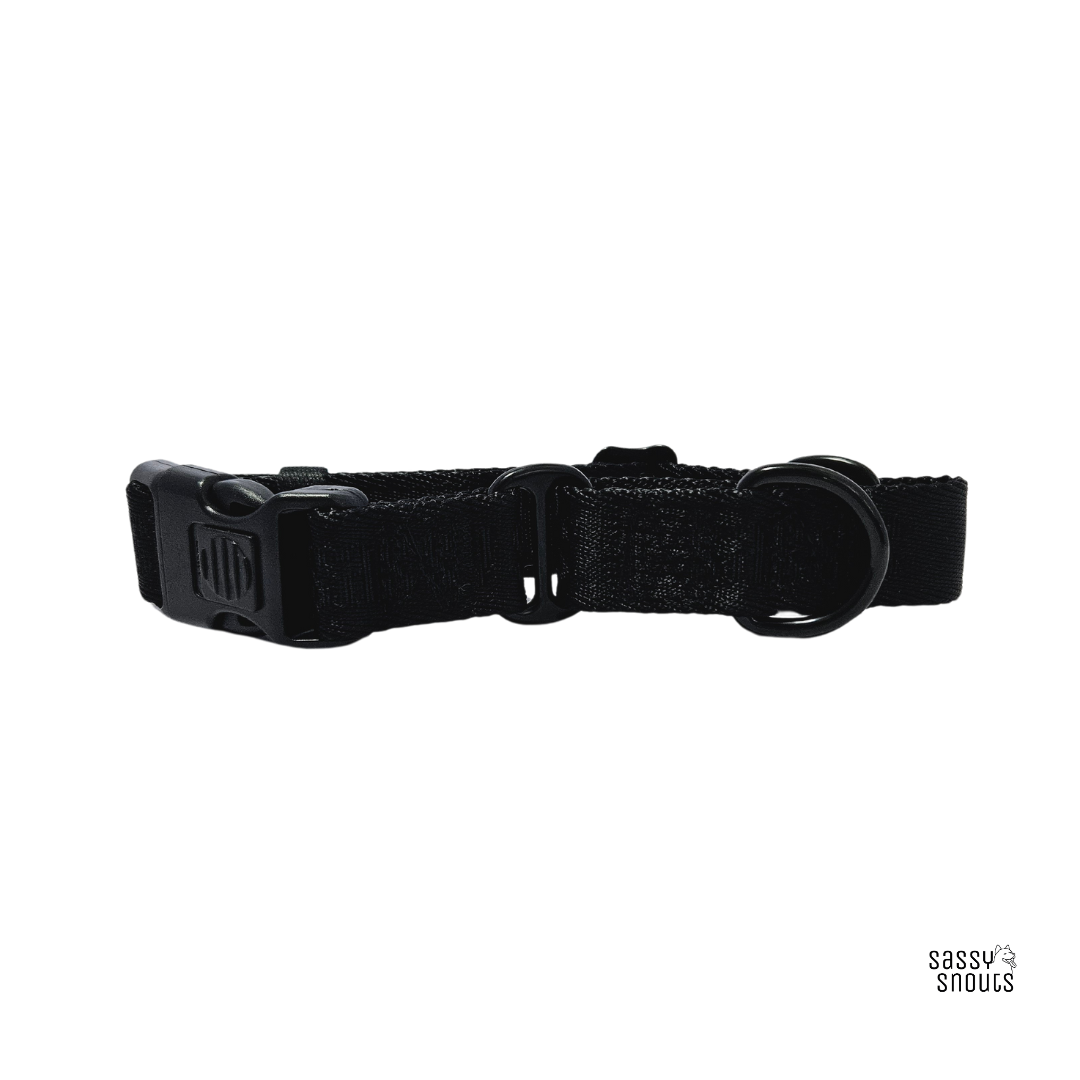 Sassy Snouts Martingale Collar in Luxe Black