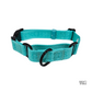 Signature Martingale Collar (Gen 2.0)